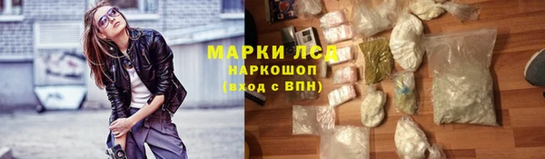 индика Краснослободск