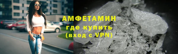 индика Краснослободск
