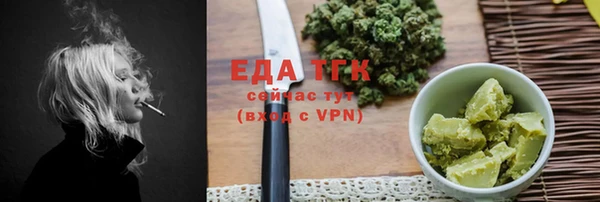 индика Краснослободск