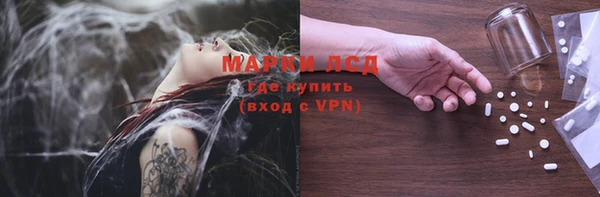 индика Краснослободск