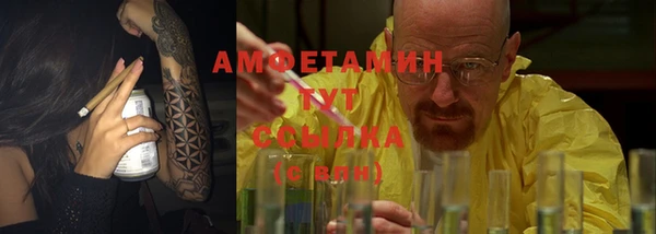 индика Краснослободск