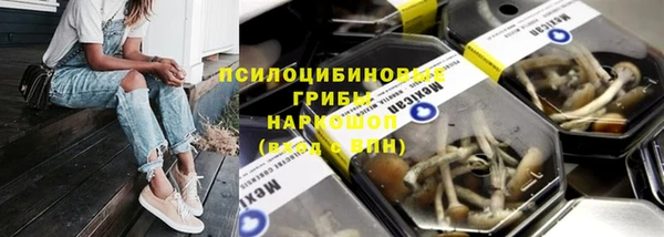 индика Краснослободск