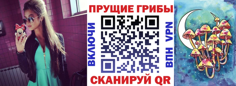 Псилоцибиновые грибы MAGIC MUSHROOMS купить наркотик omg ссылки сайты даркнета телеграм Алейск
